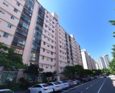 �ǹ� �̹���