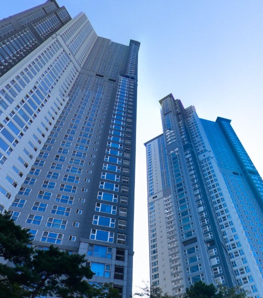 �ǹ� �̹���