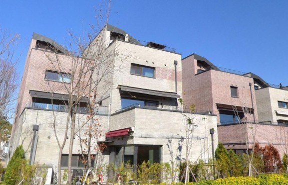 �ǹ� �̹���