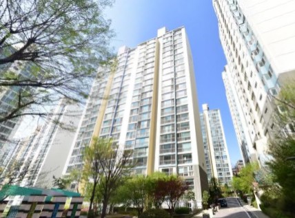 �ǹ� �̹���